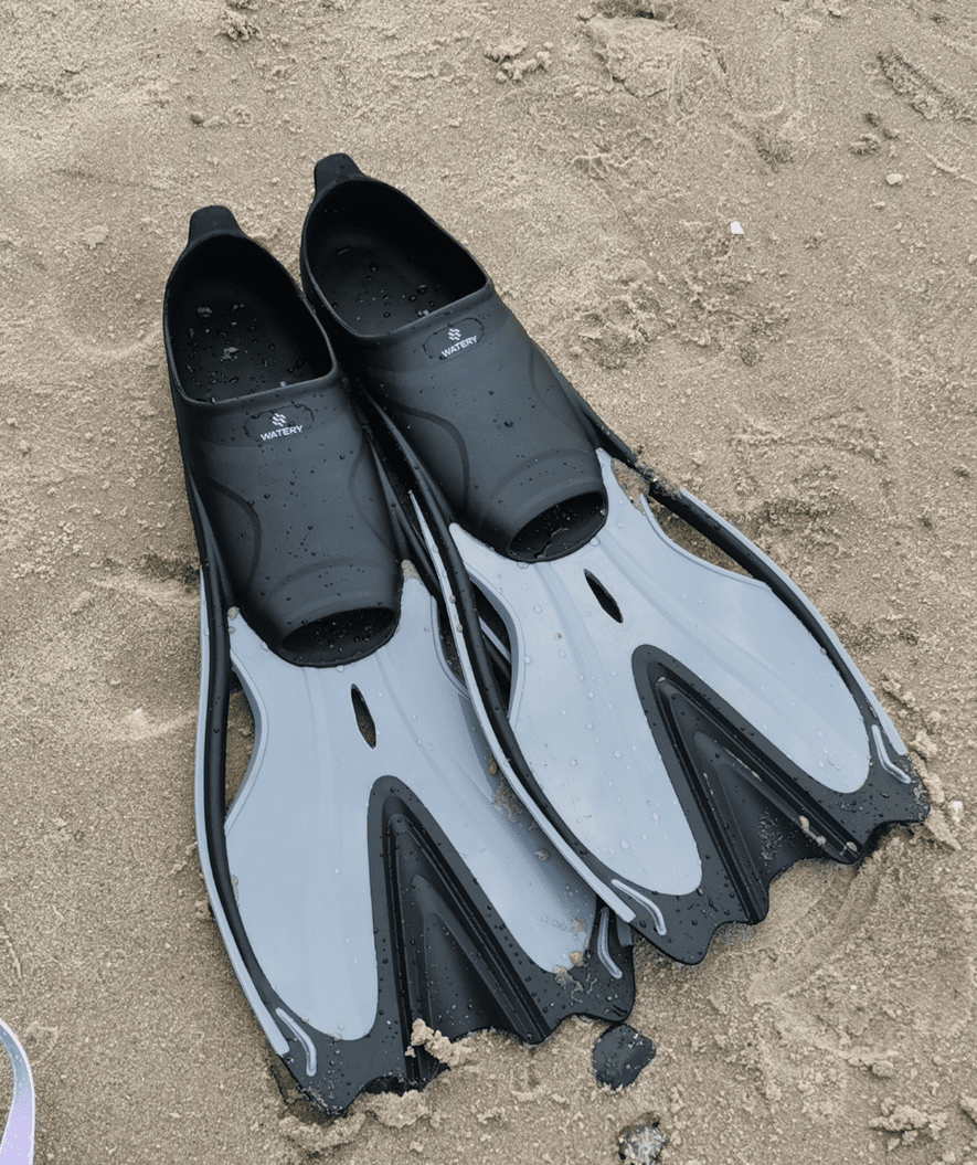 Watery diving fins - Delphina - Black/grey