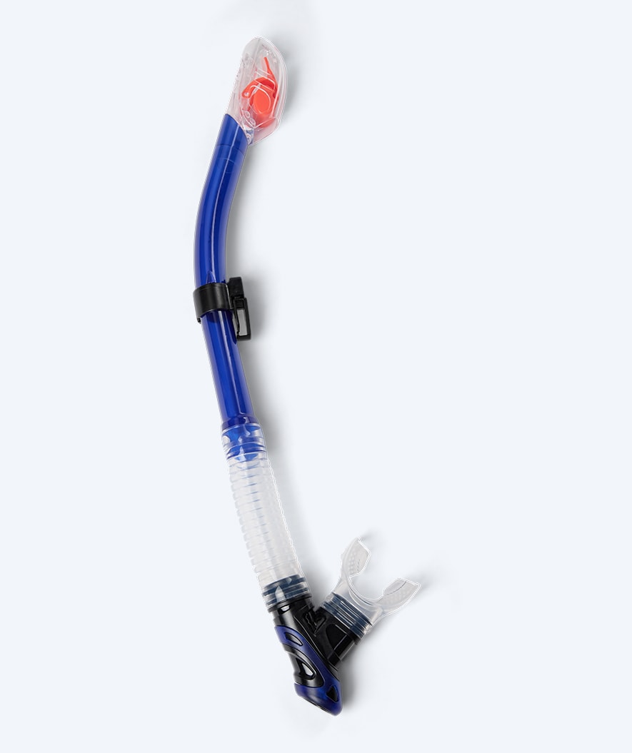Watery full-dry snorkel for adults - Hudson - Blue